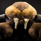 Illustration for article titled iThe Elder Scrolls/i most infamous creature is now an adorable Plush Toy